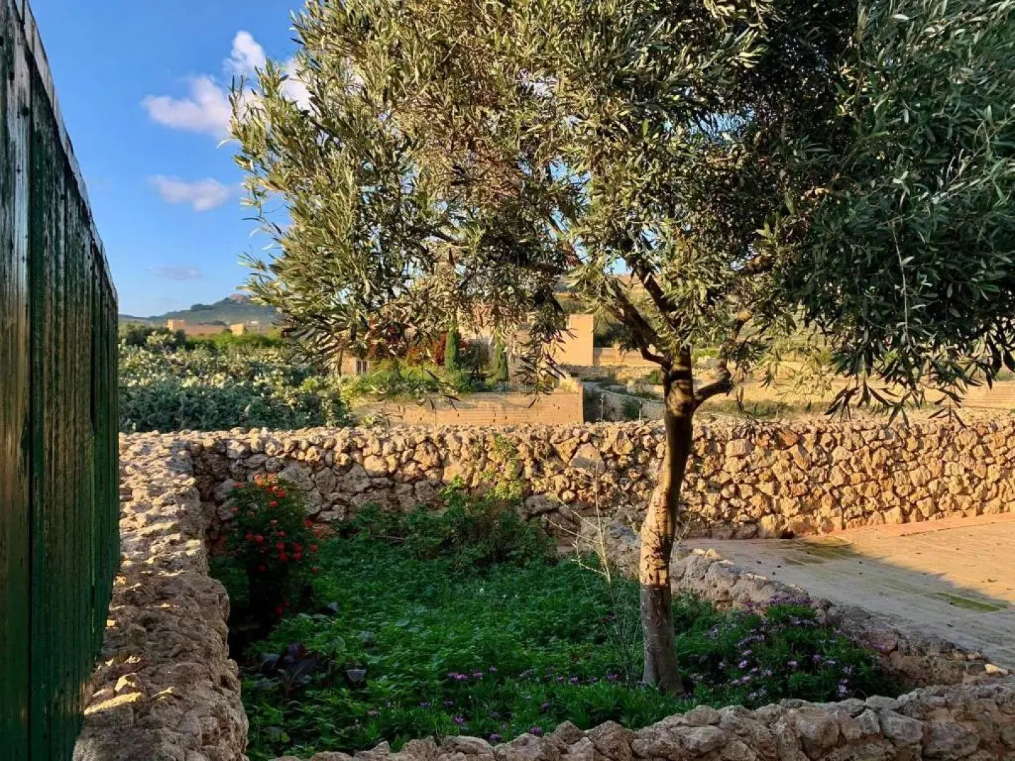 Hofra Farmhouse - 5 bedroom farmhouse with private pool available