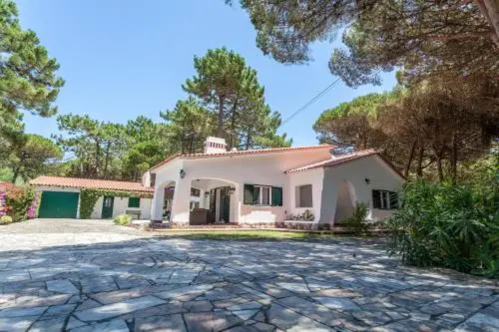 Ocean, Pines and Mountain