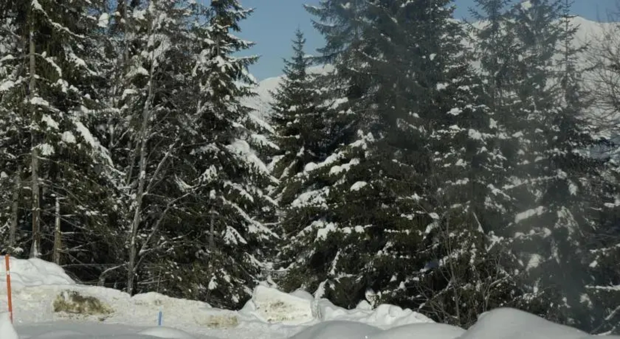 Chalet Le Petit Lapin