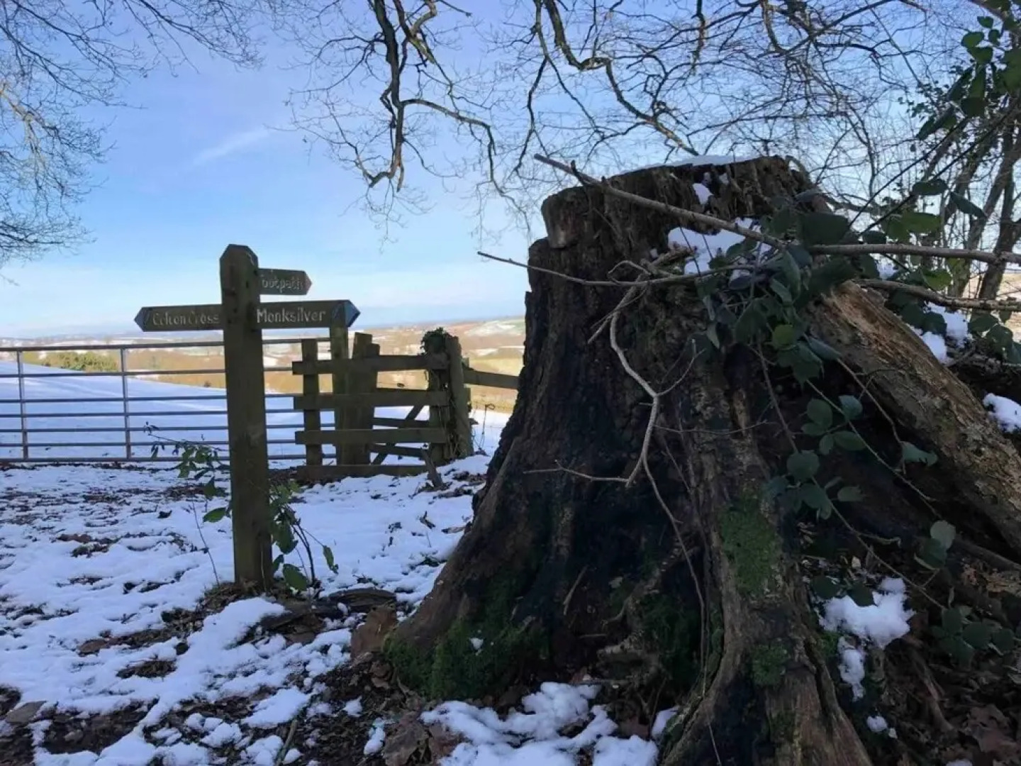 Bramleys Luxury Cabin