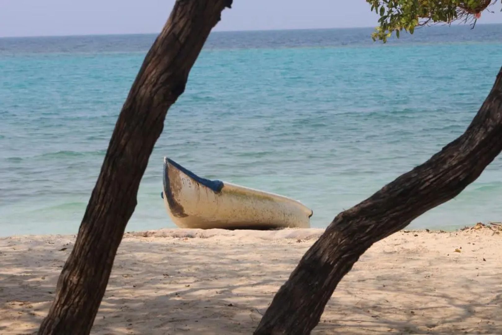 Eco Hotel Las Palmeras