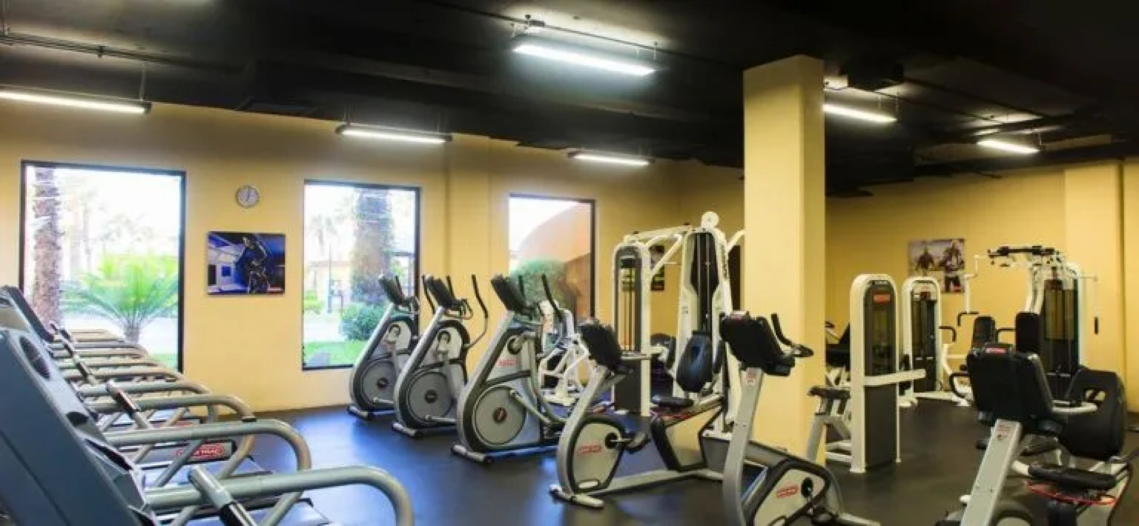 Villa del Palmar Residences