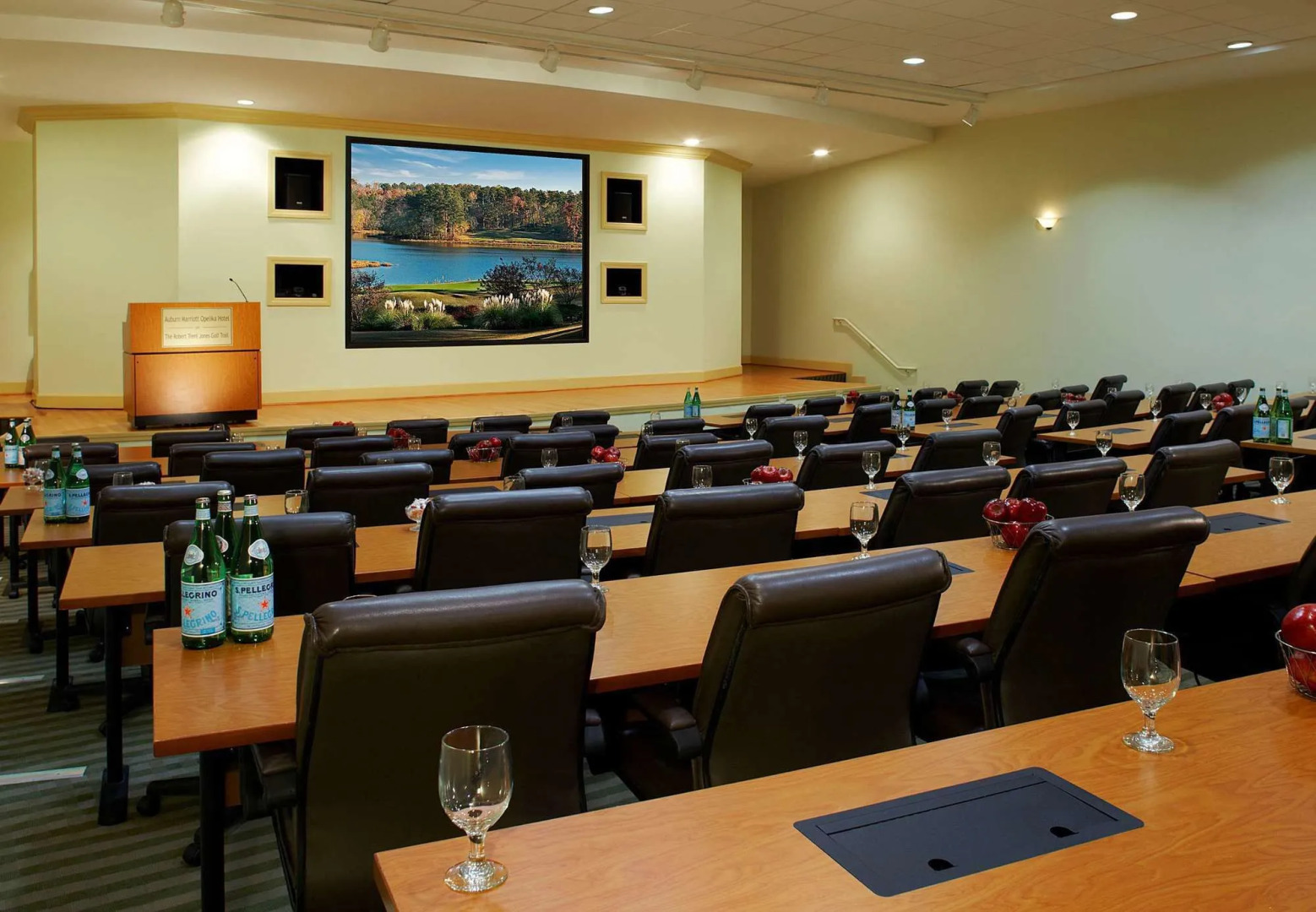 Auburn Marriott Opelika Resort & Spa at Grand National