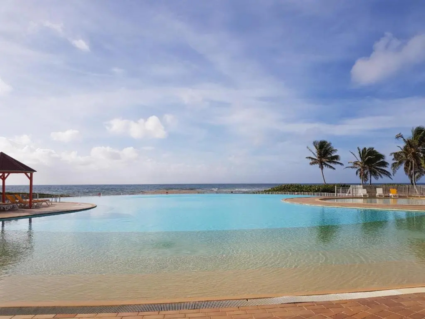 L'oiseau du Paradis Studio