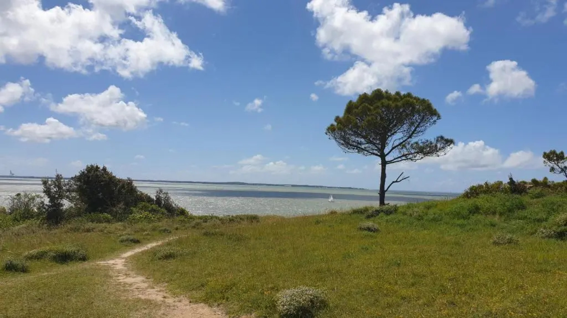 appartement à 300m de la plage