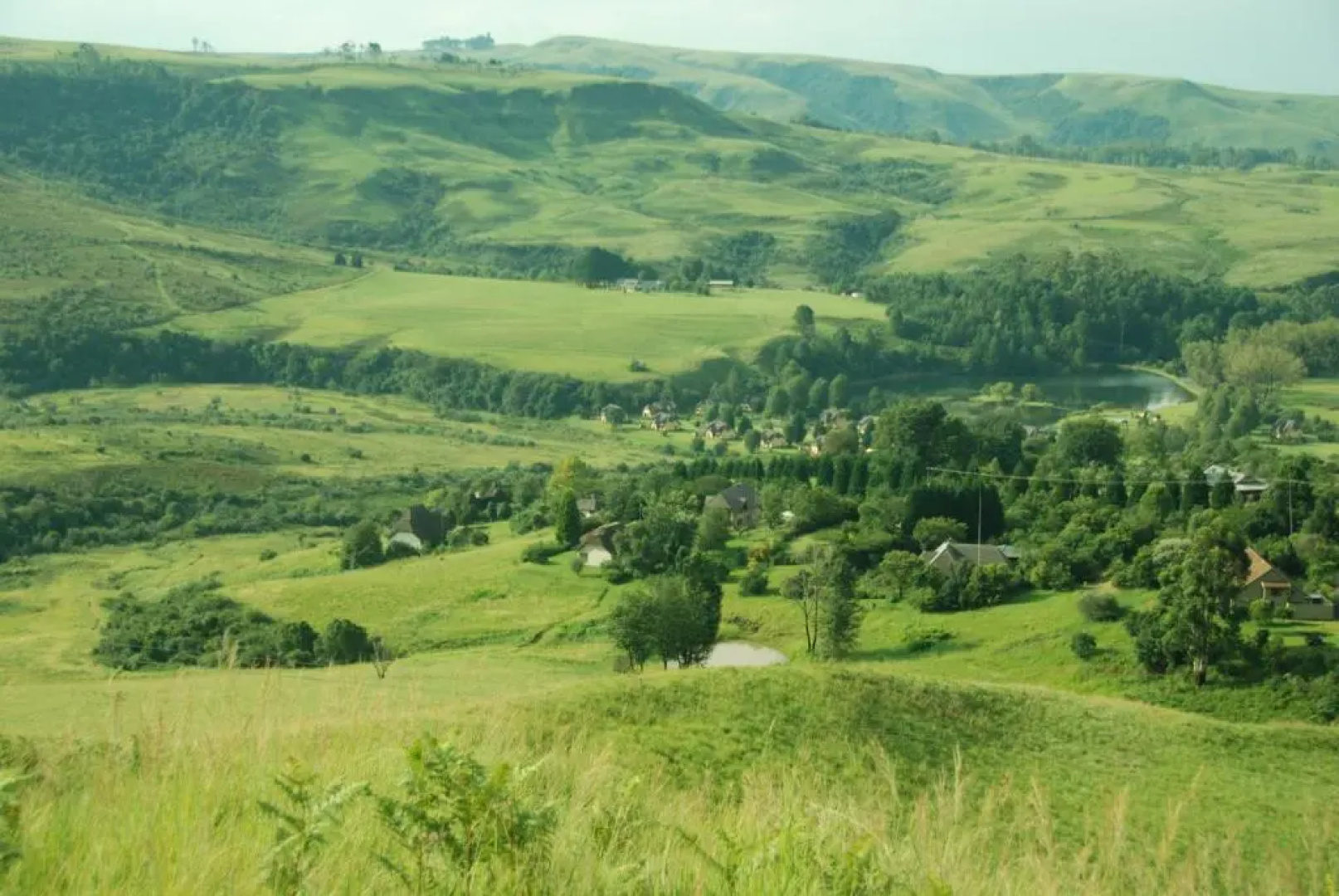 20 Mount Champagne