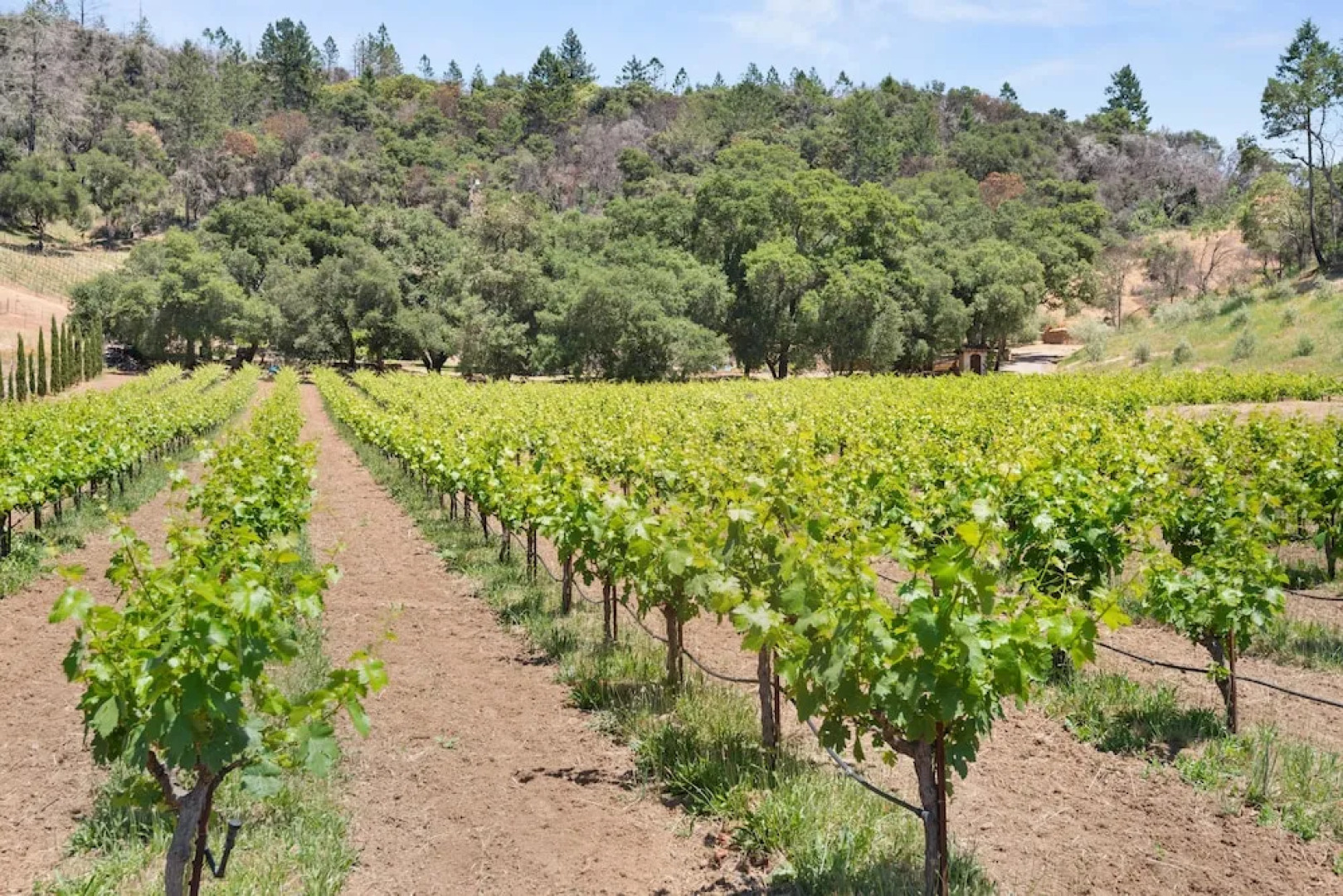 8545sono 3 Bedroom Home