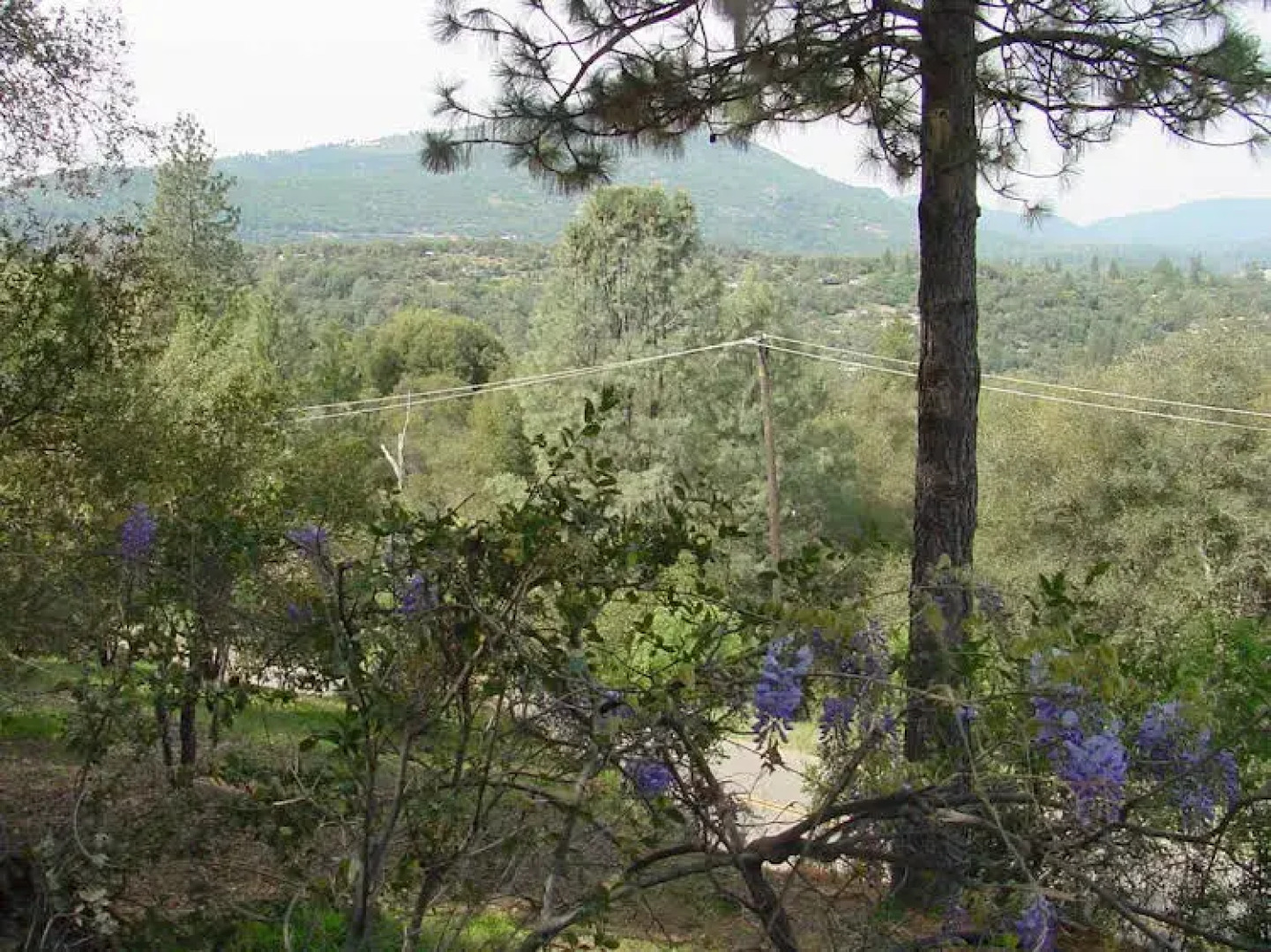 Vultures View Bed and Breakfast