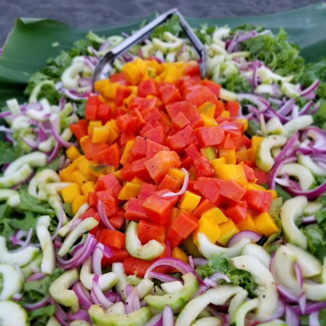 Iguana Lodge Beach Resort