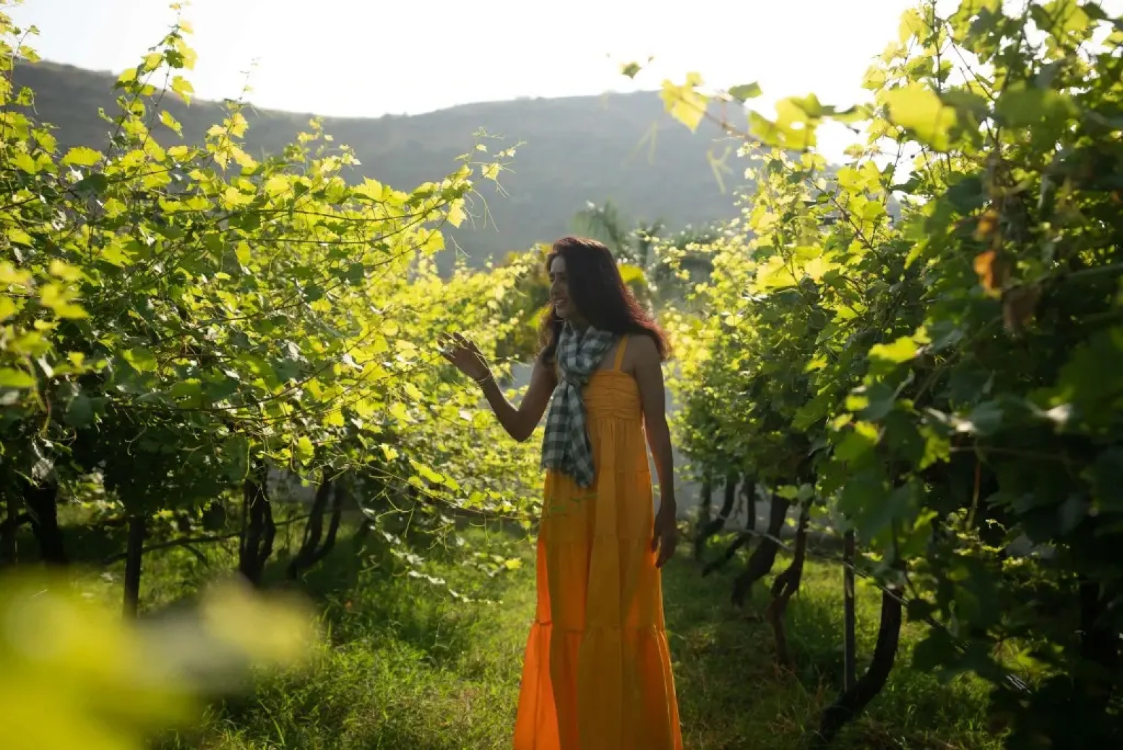 Radisson Blu Hotel & Spa, Nashik