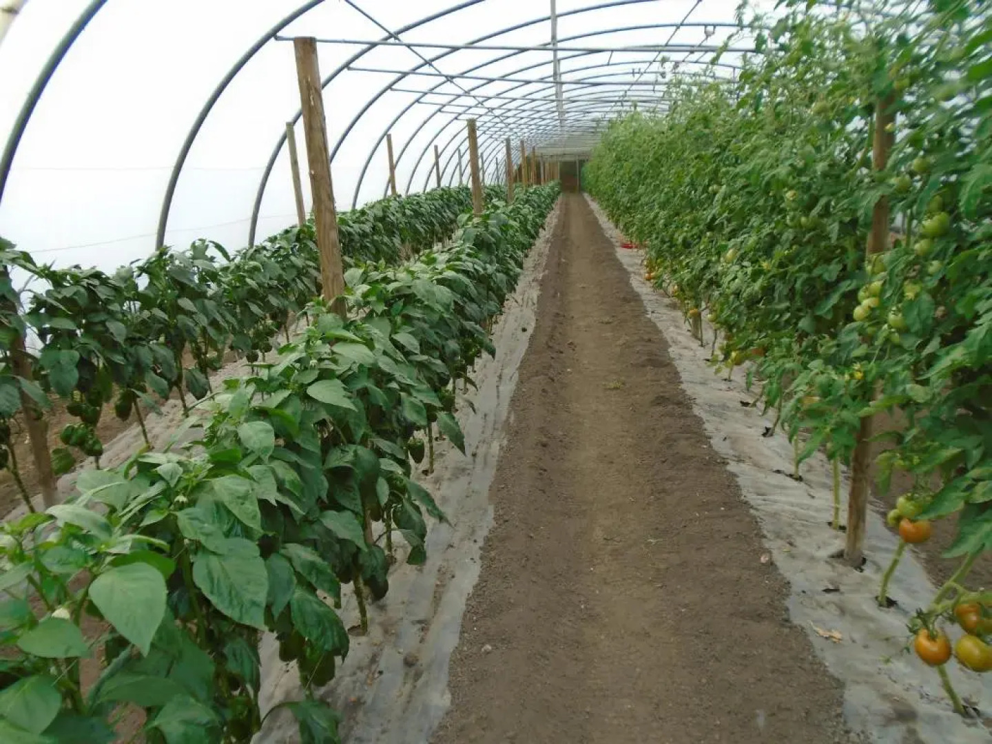 Turismo Rural El Gobernador