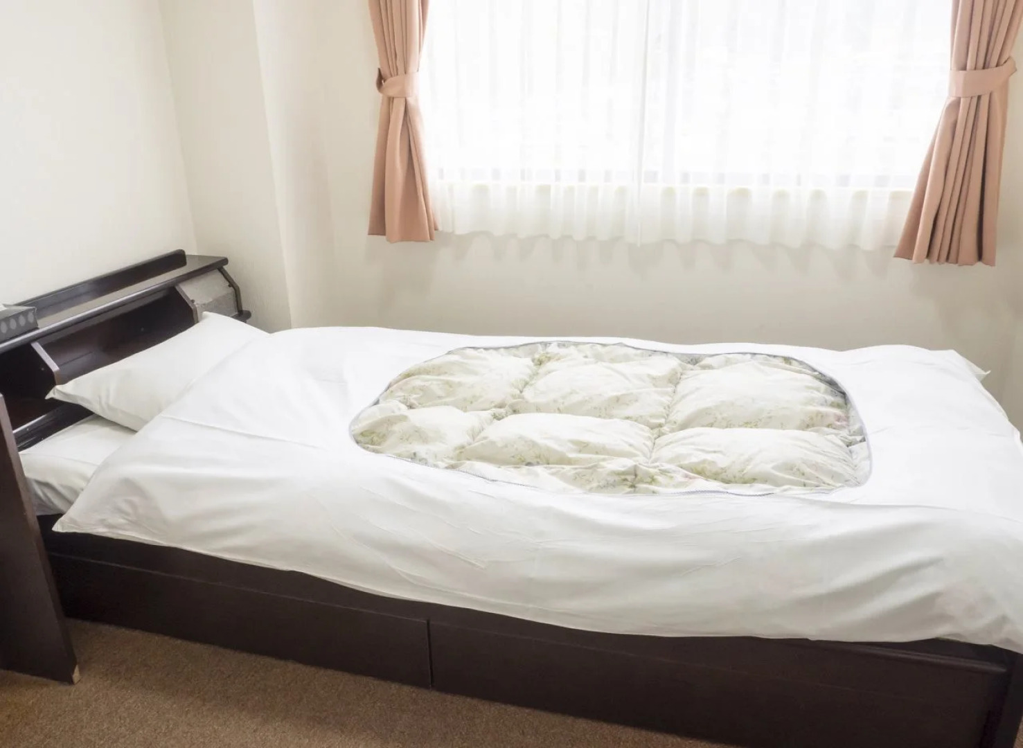 Hikone Station Hotel