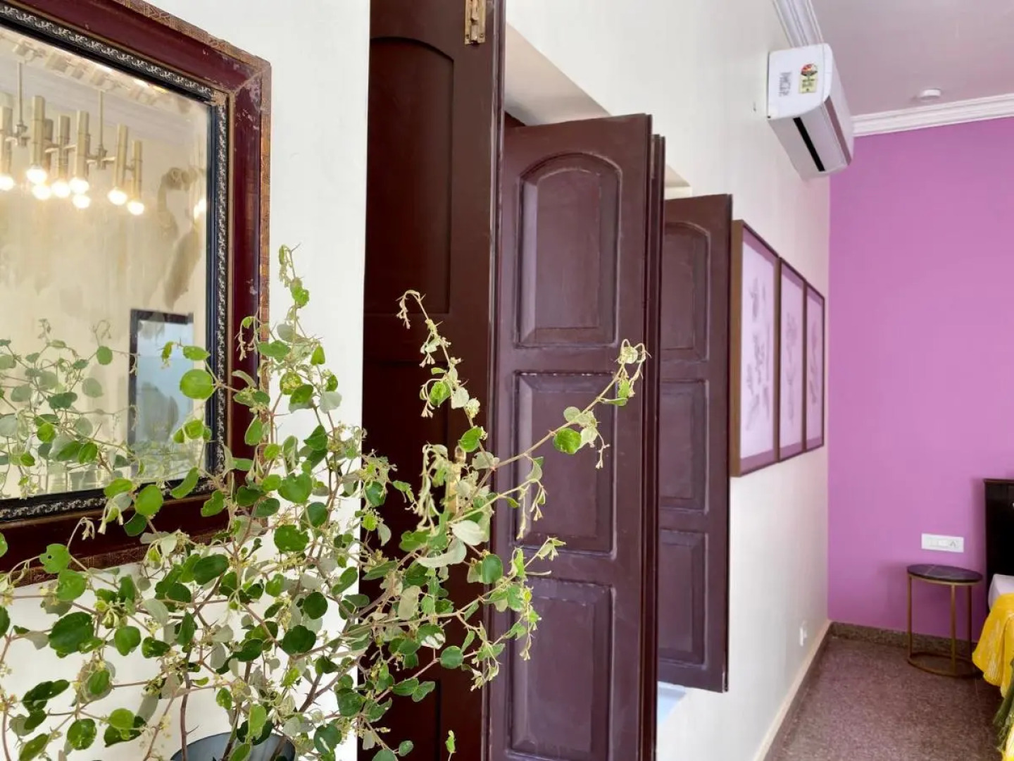 Kaner Retreat - India'S First Desert Botanical Resort