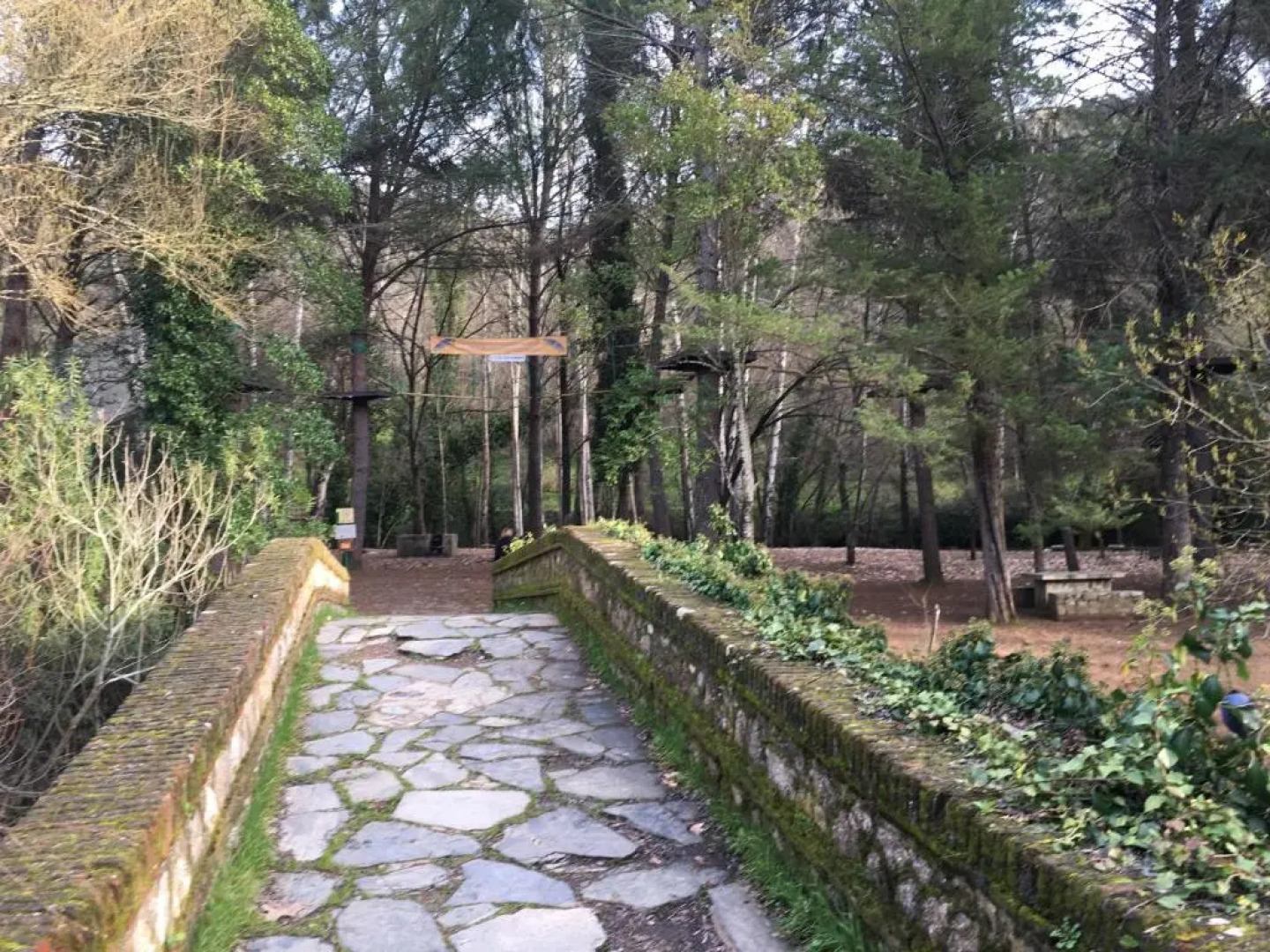 Nacimiento del Huéznar - Tomillo 23