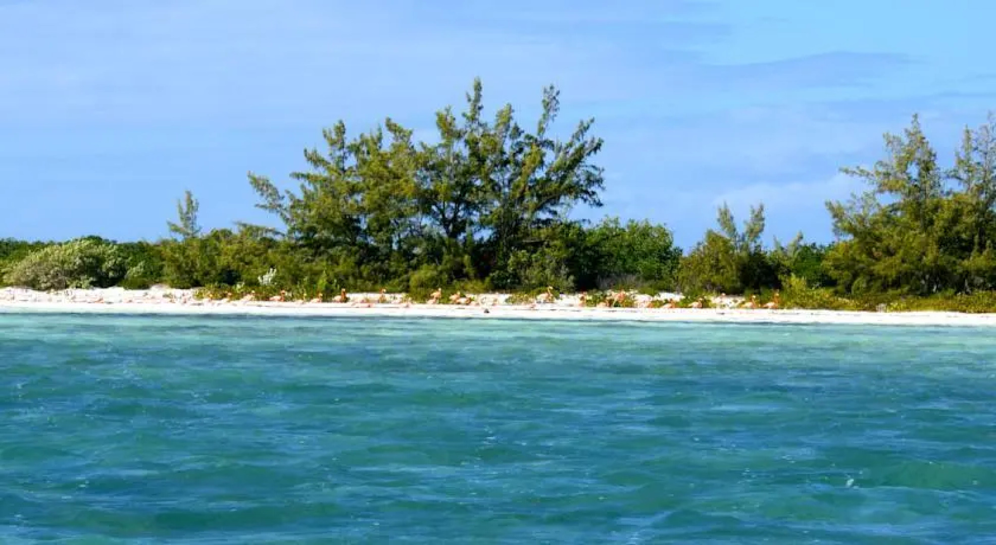 Tranquility on the bay