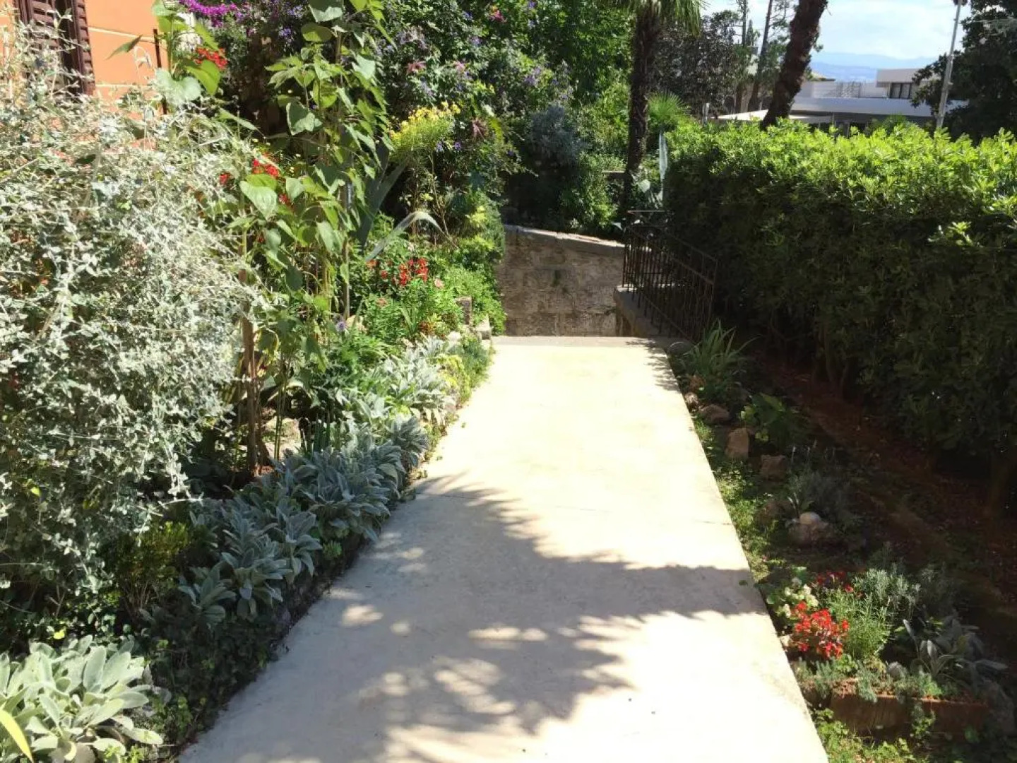 Bed & Breakfast Borka