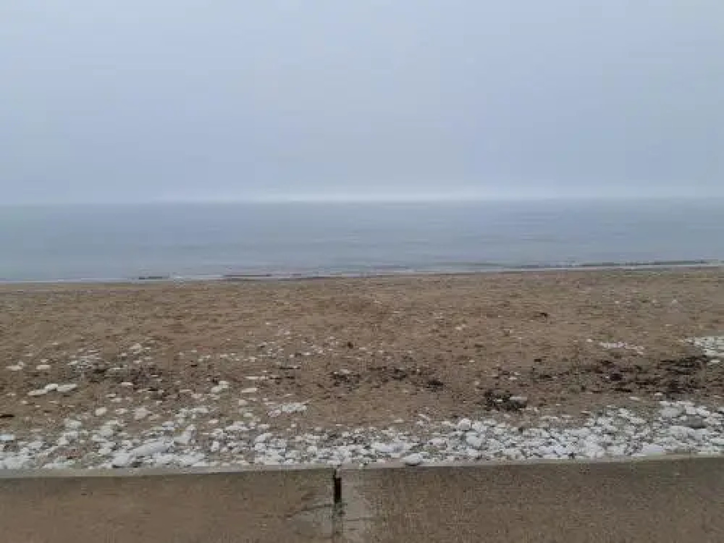 The Bluebell Guest House