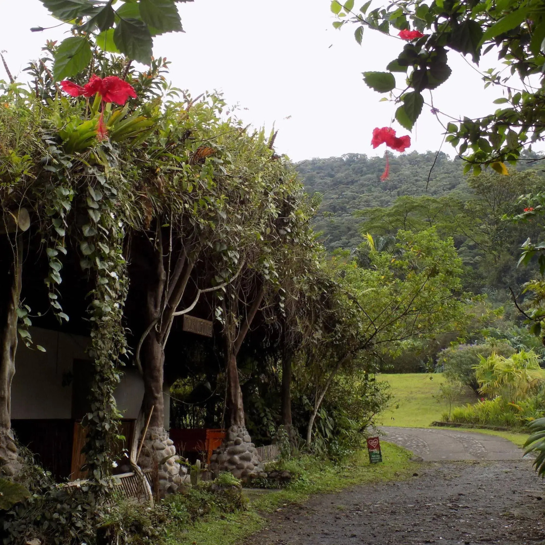 Rancho Margot