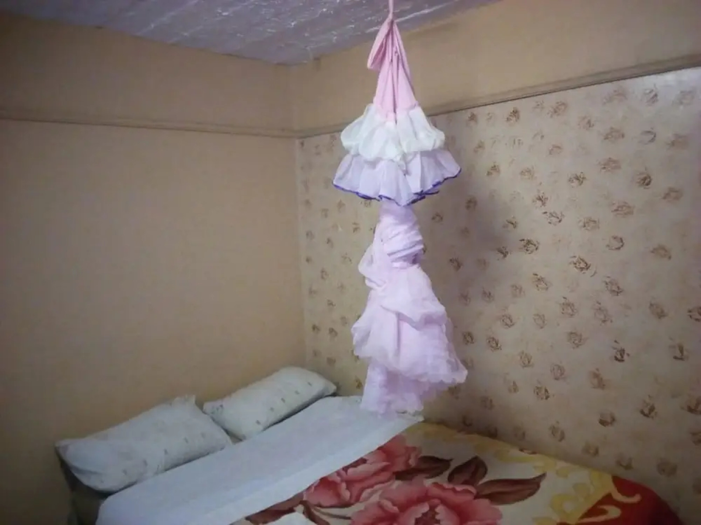 Haricot Guest House