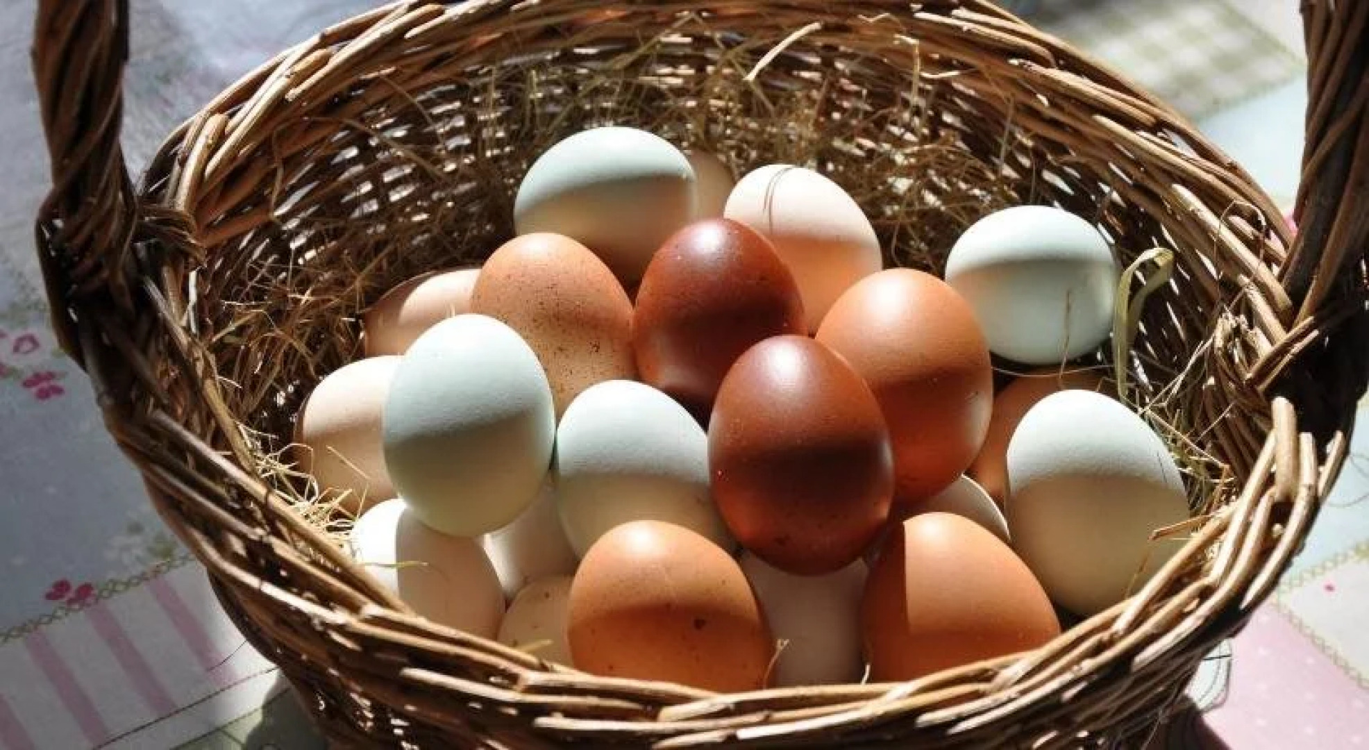 Bulleigh Barton Manor