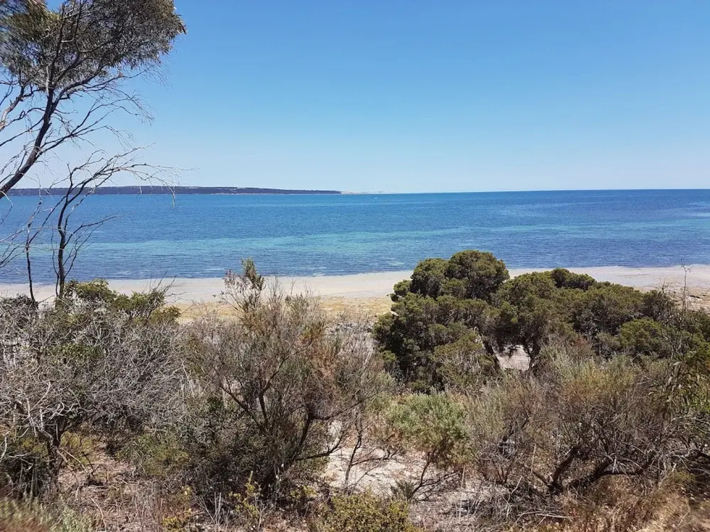 Gilligan's Kangaroo Island