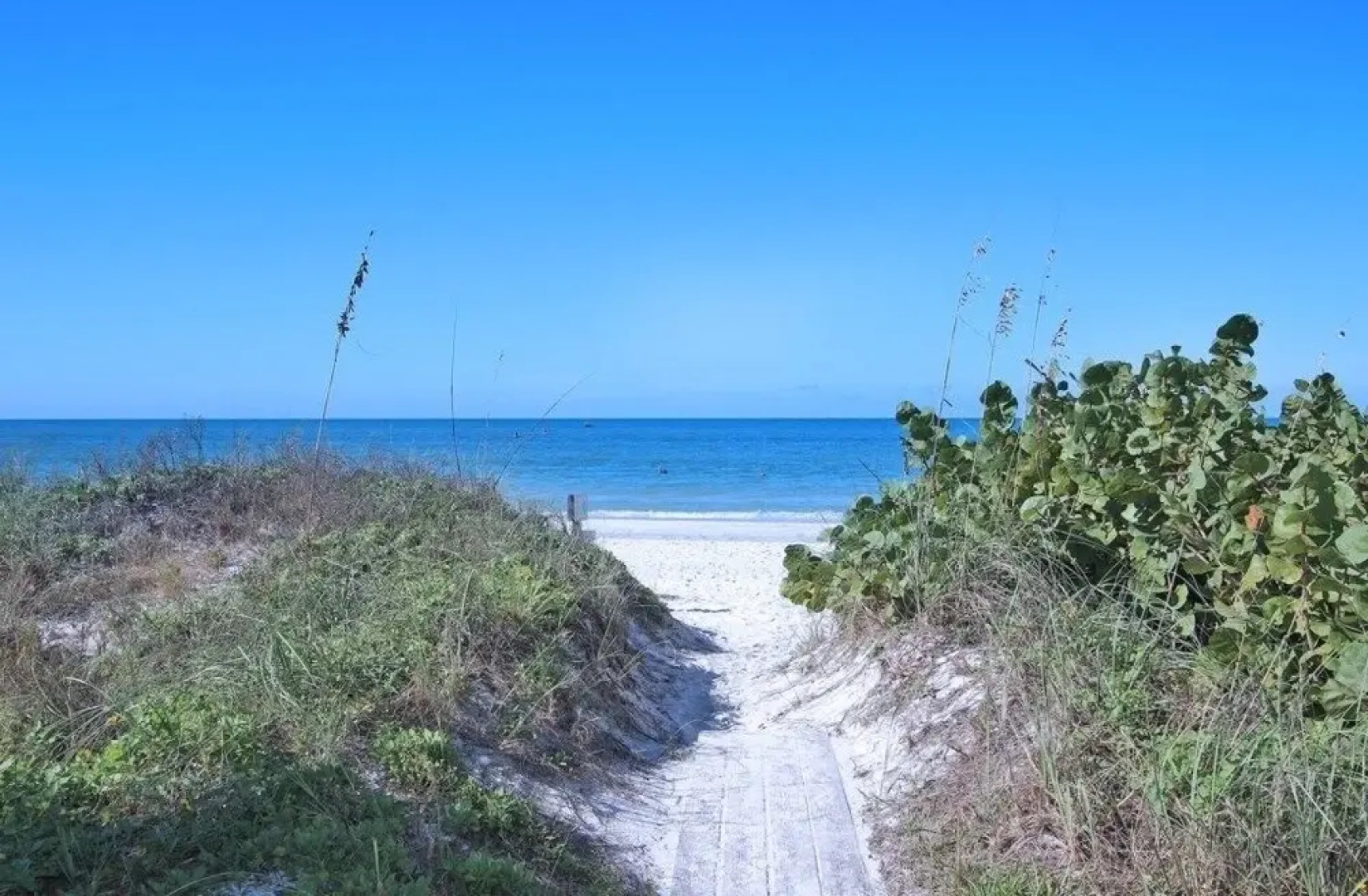 Lazy Dolphin Condo by RedAwning