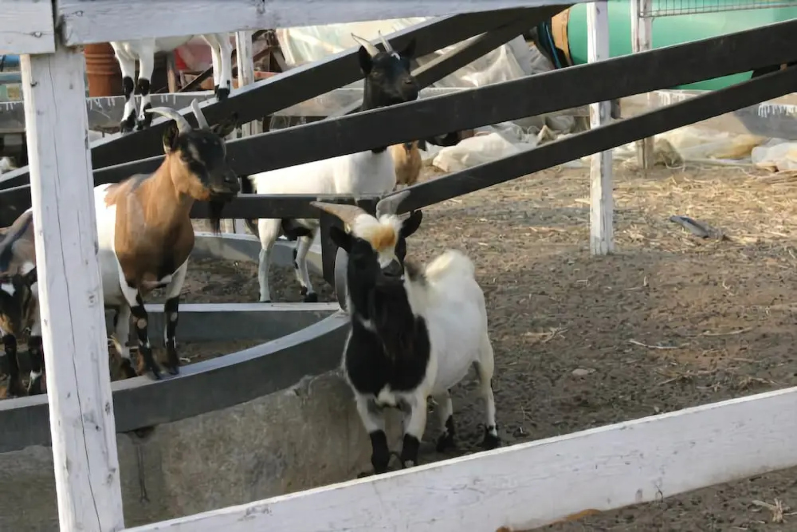 Agriturismo Passitti