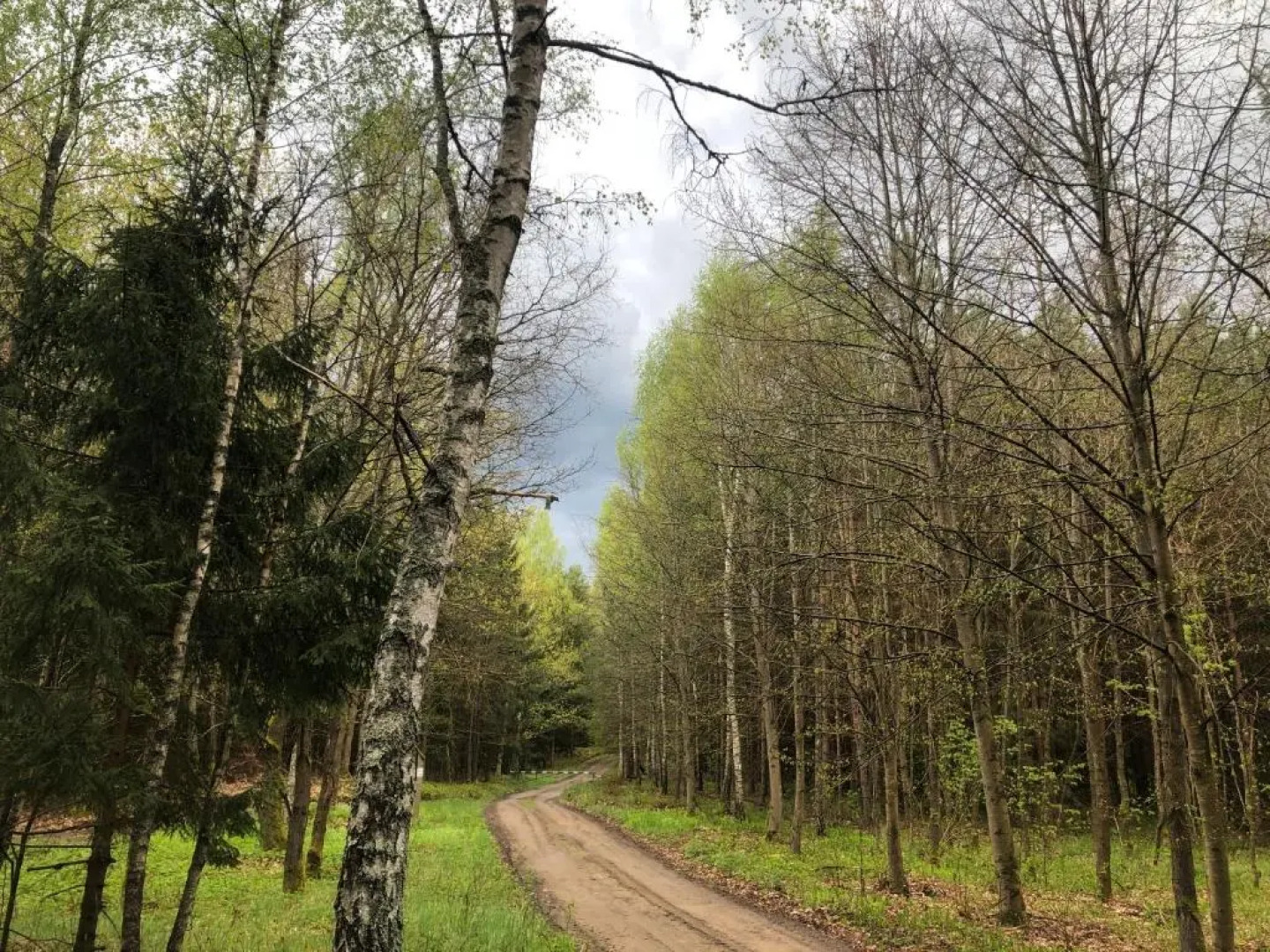 Letnisko SYMSAR 6, Drewniany domek letniskowy