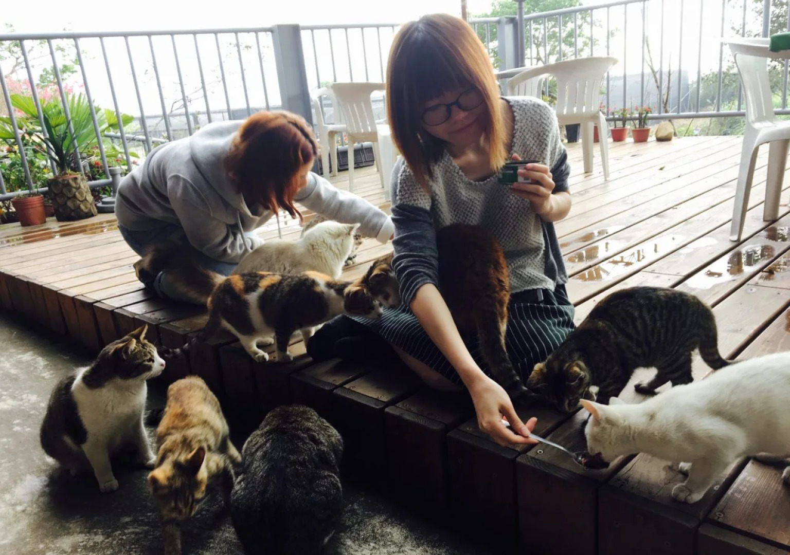 Seeking - Alishan Sunrise