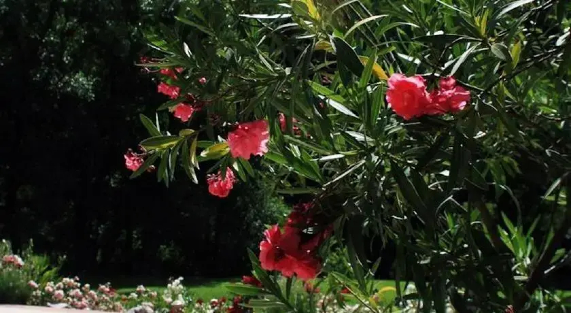 Börzsönyliget Vendégház