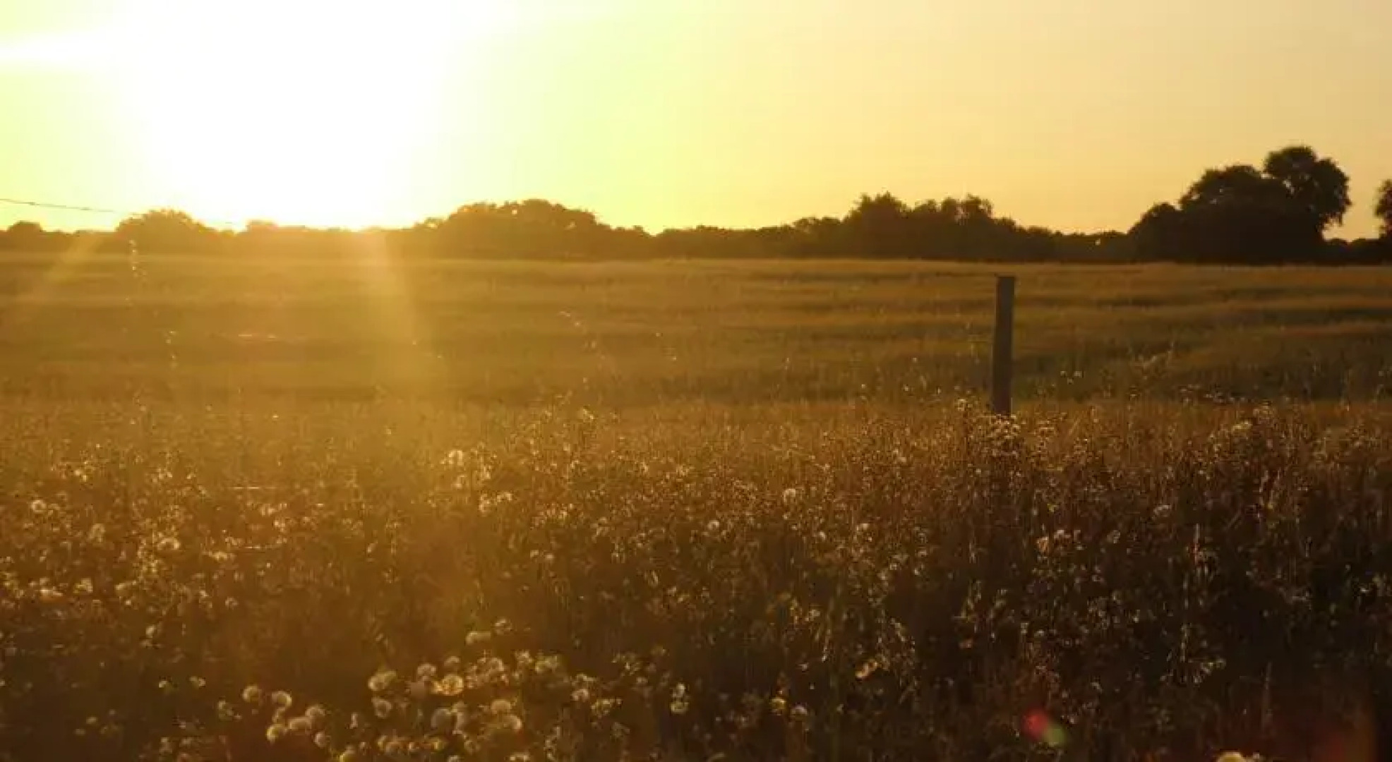 Herdade do Freixo do Meio