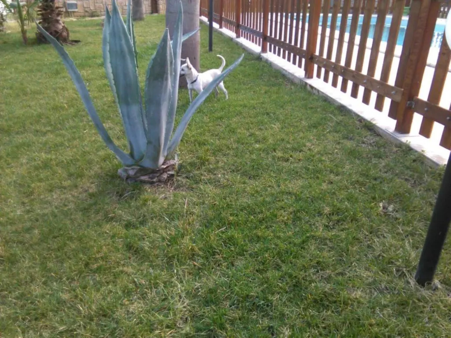 Pupillo Casa Vacanza