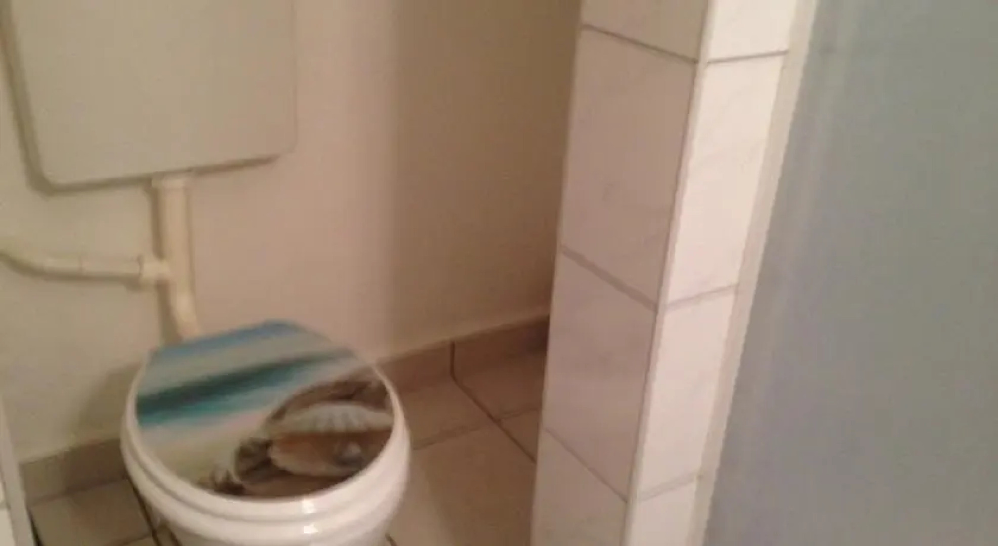 Ferienwohnungen Tunneborn