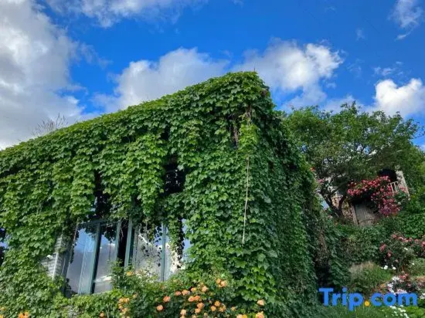 Tinghuatang Seaview Garden Inn