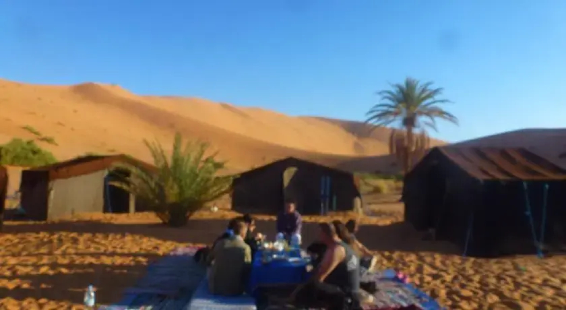 Oasis Camp
