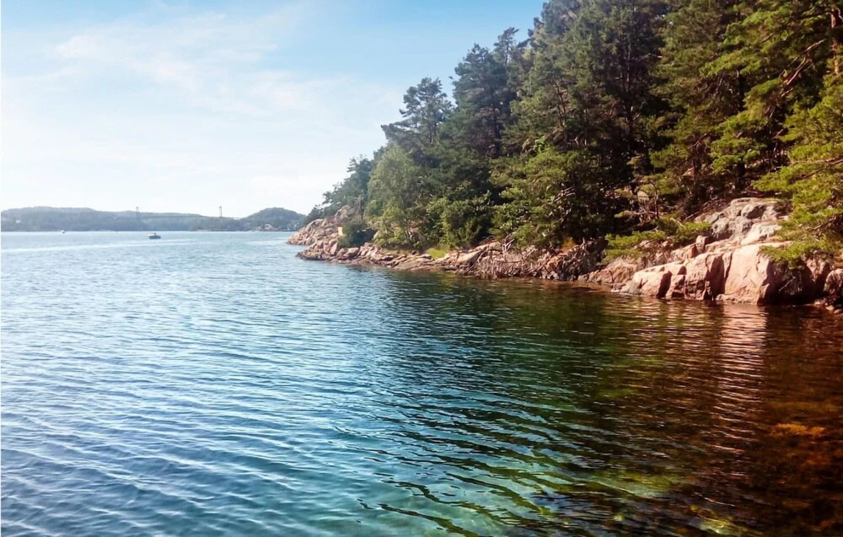 The Woodpecker Cottage Tree