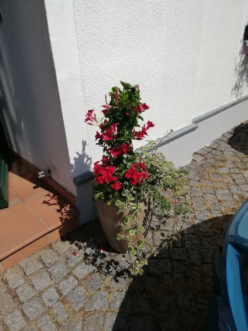 Hotel Stadt Olbernhau