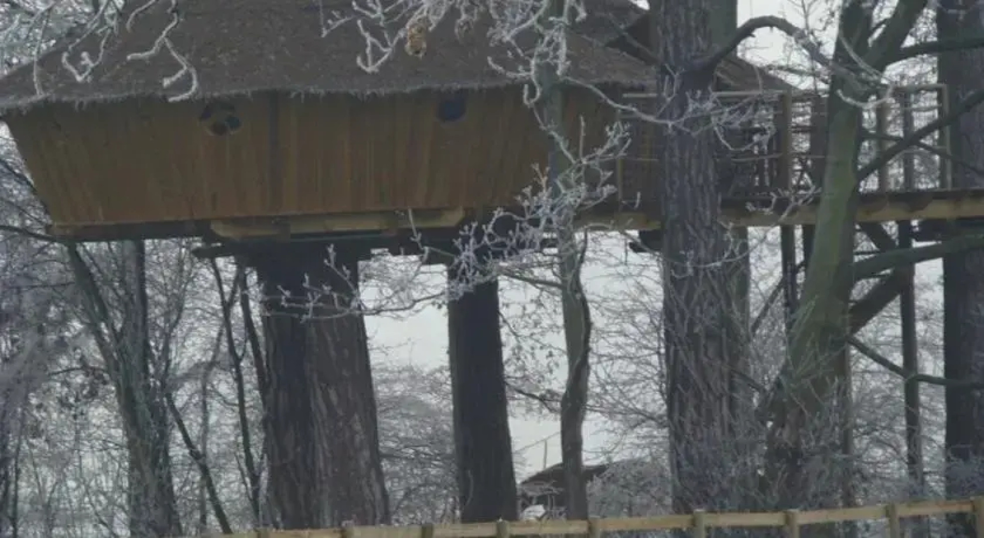 Domaine de Poiseuil - Insolite