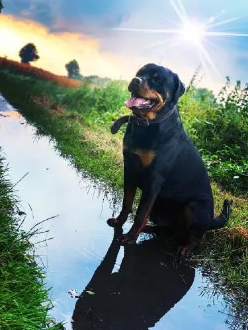 Op´n Dörp Apartment