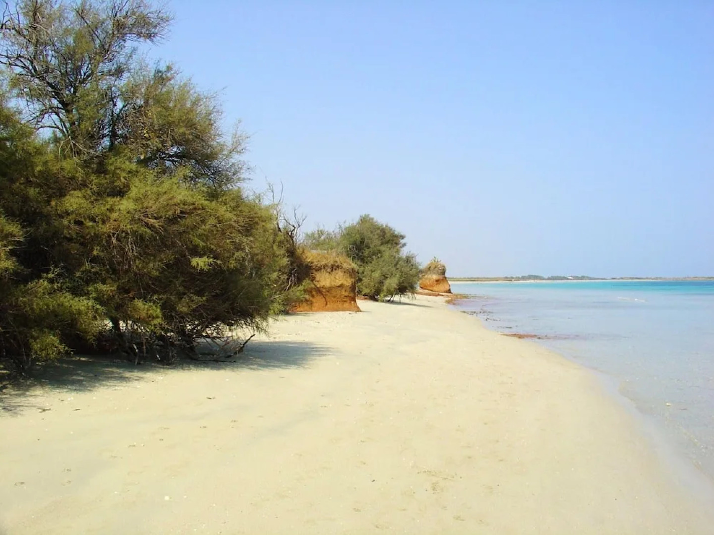 Apartment With 2 Bedrooms in Torre Guaceto, With Enclosed Garden