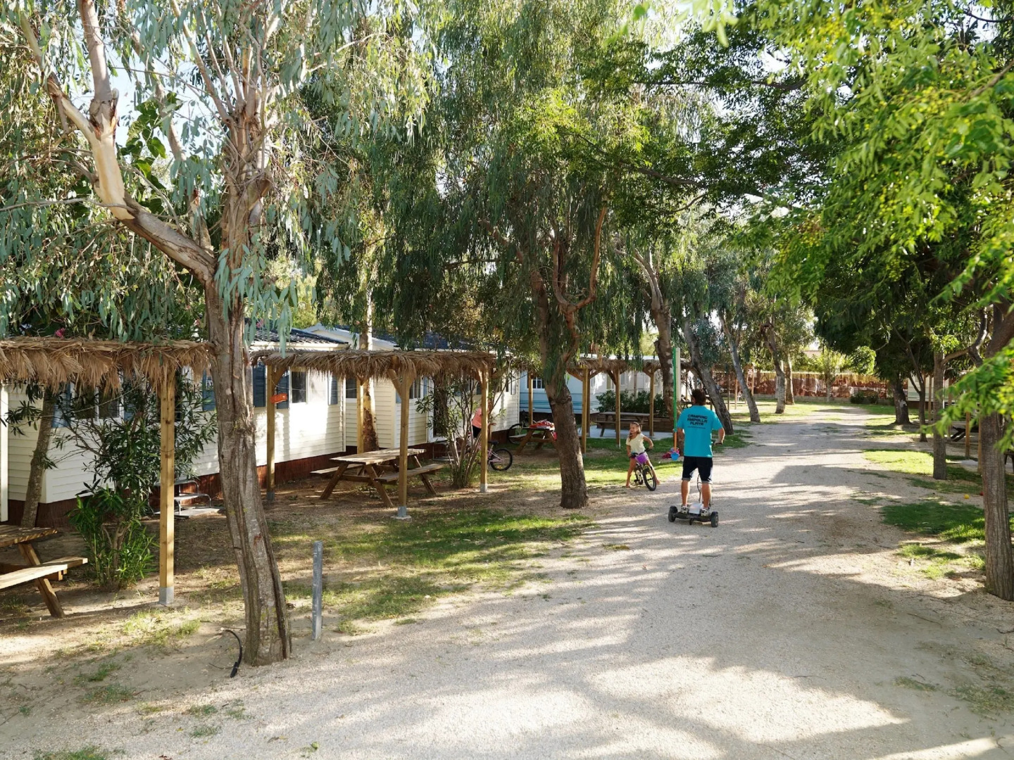 TAIGA Delta de l'Ebre