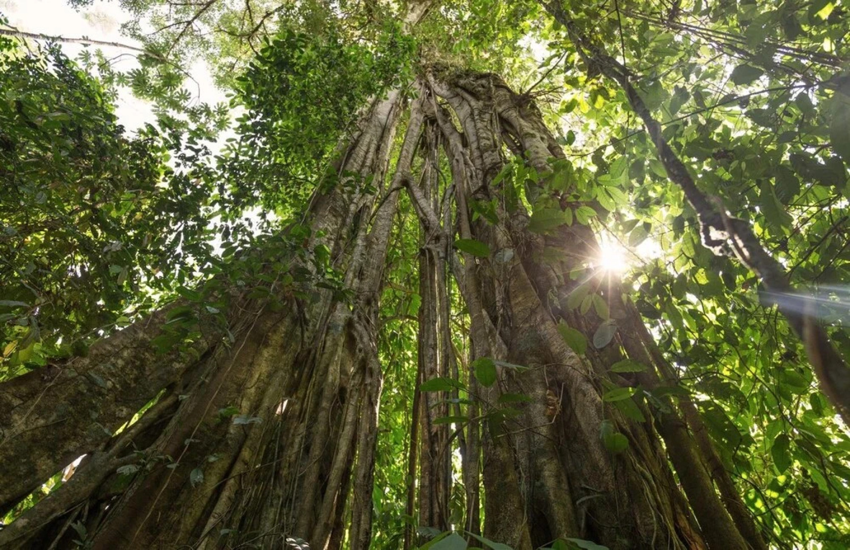 Albergue La Laguna Corcovado Park