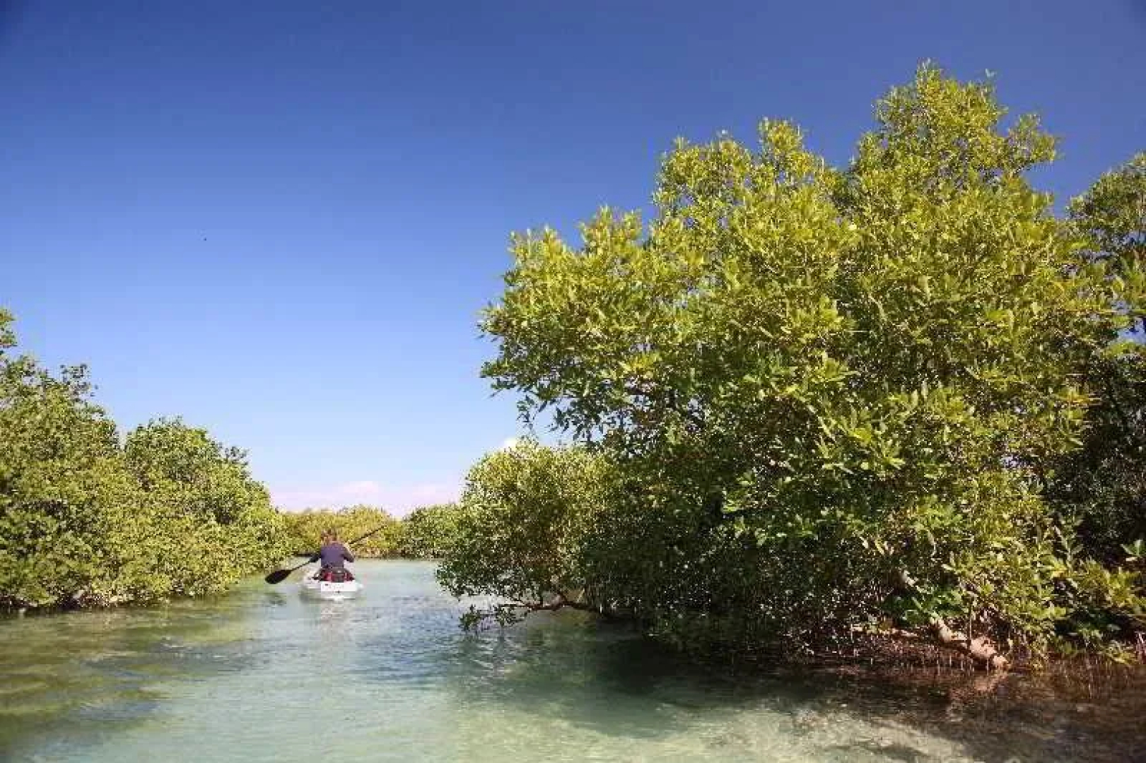 Coral Lodge
