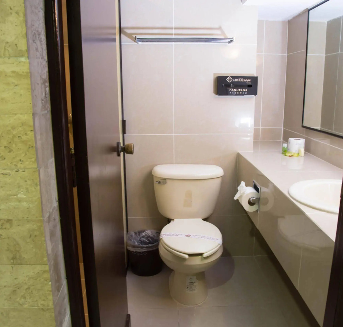 Hotel Ambassador Merida