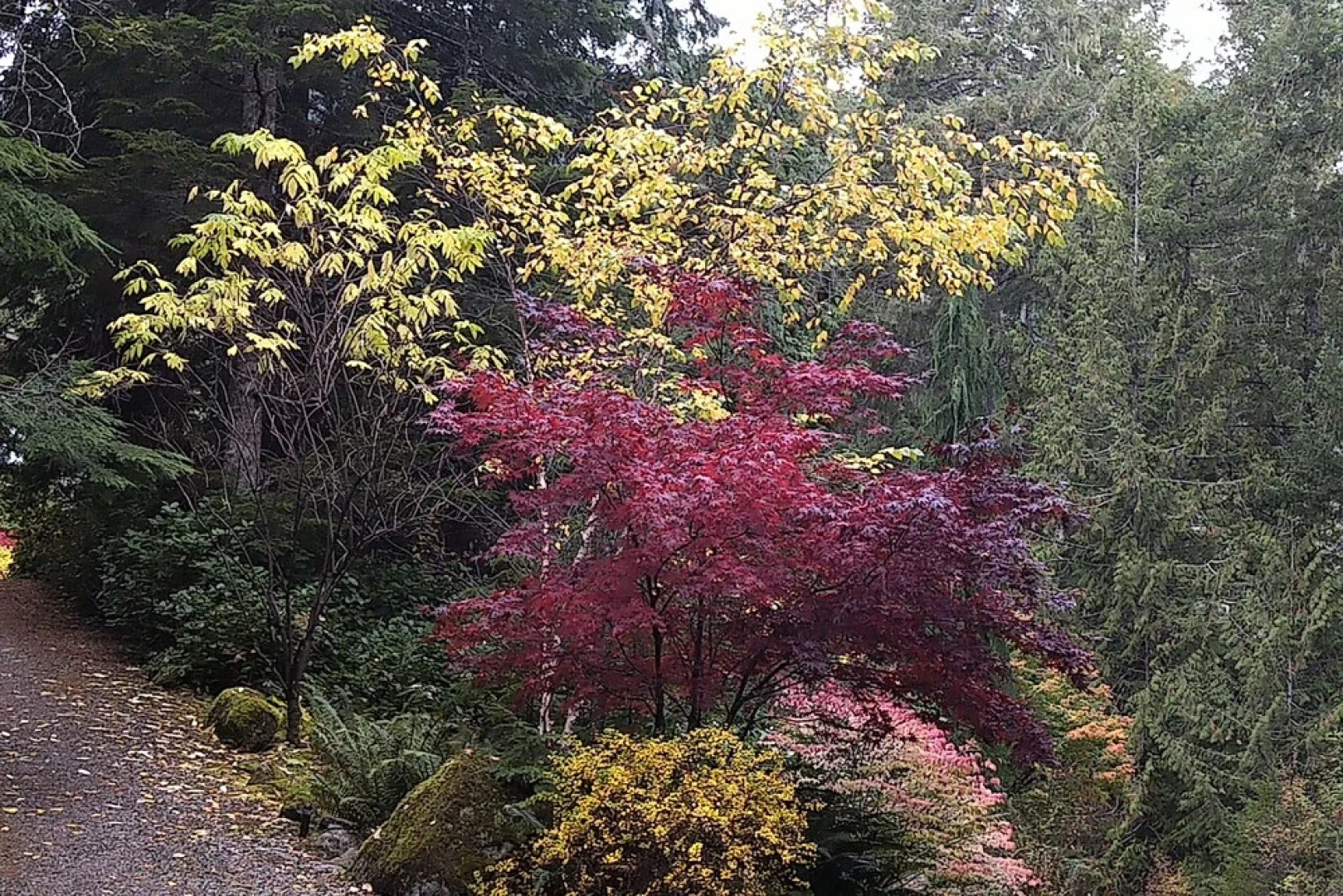 The Cabin at Moon Dance