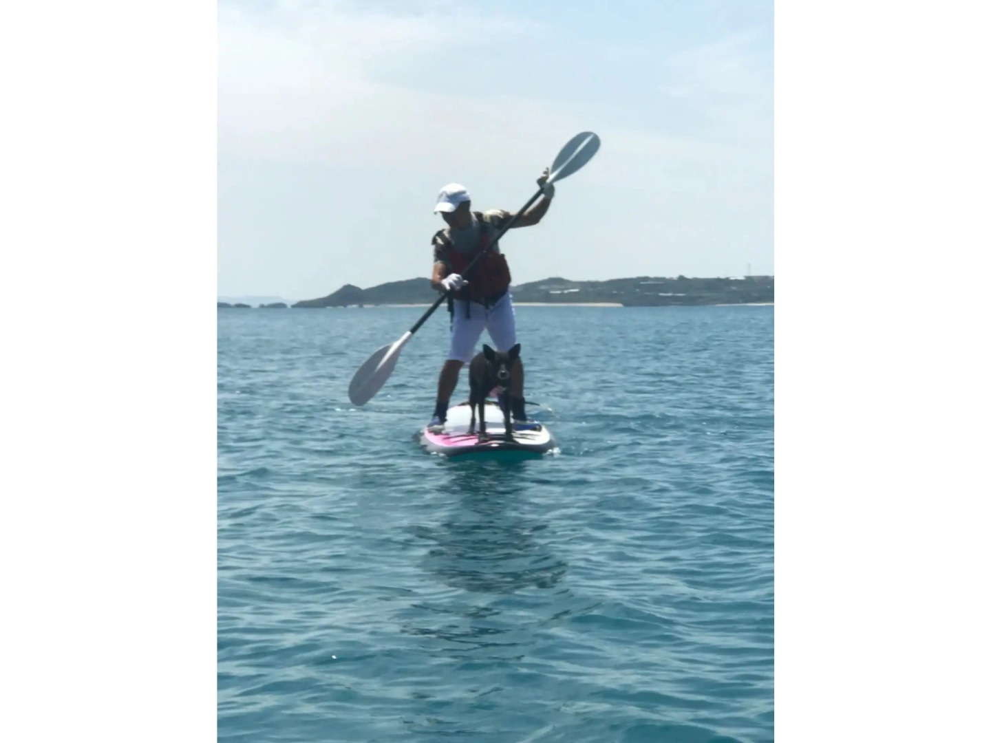 Old American House K-113