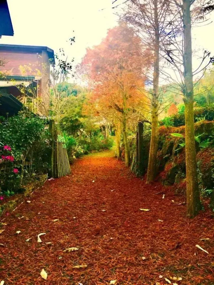 Walk Cloud Bed and Breakfast