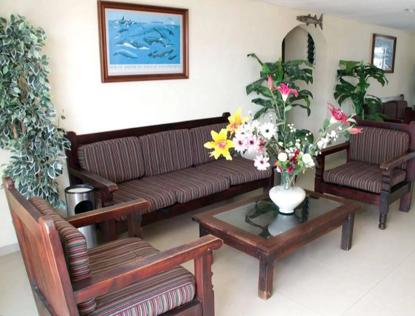 Hotel Barracuda Cozumel