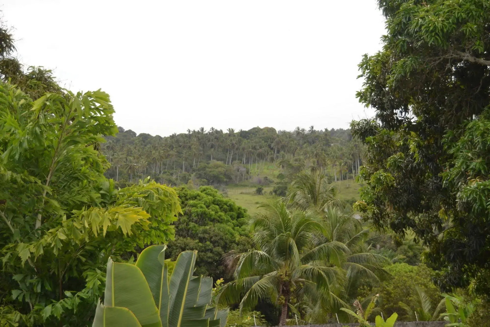 Hotel Pousada Rancho Fundo