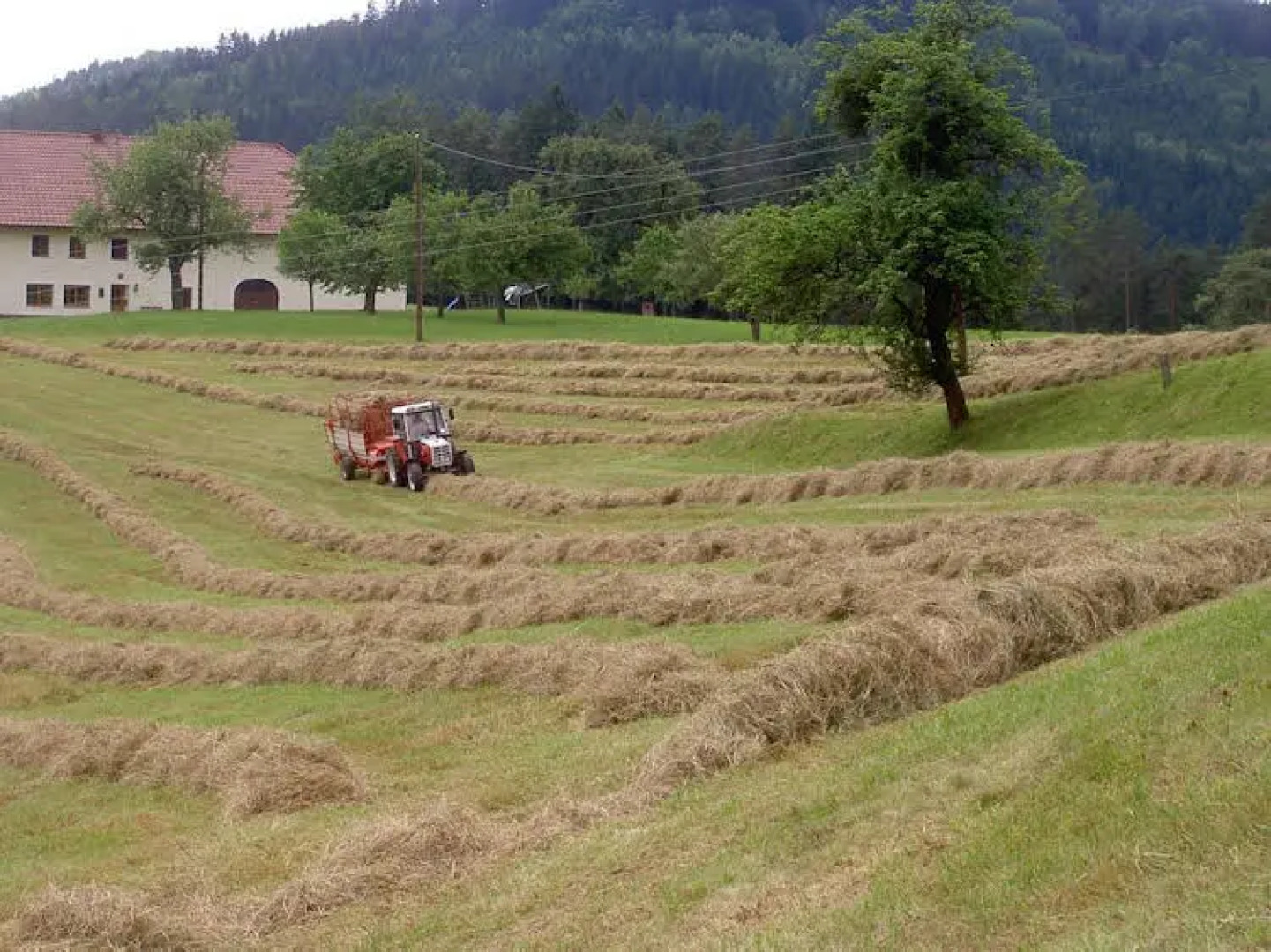 Urlaub am Bauernhof Wenigeder - Familie Klopf